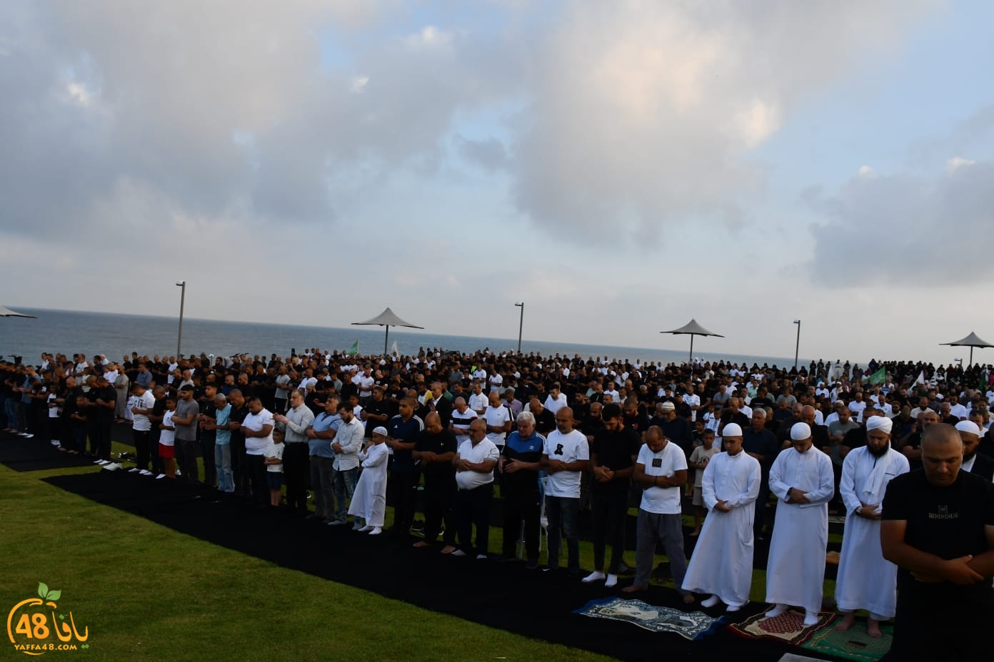 WhatsApp Image 2023-06-28 at 5.41.45 PM (3).jpeg